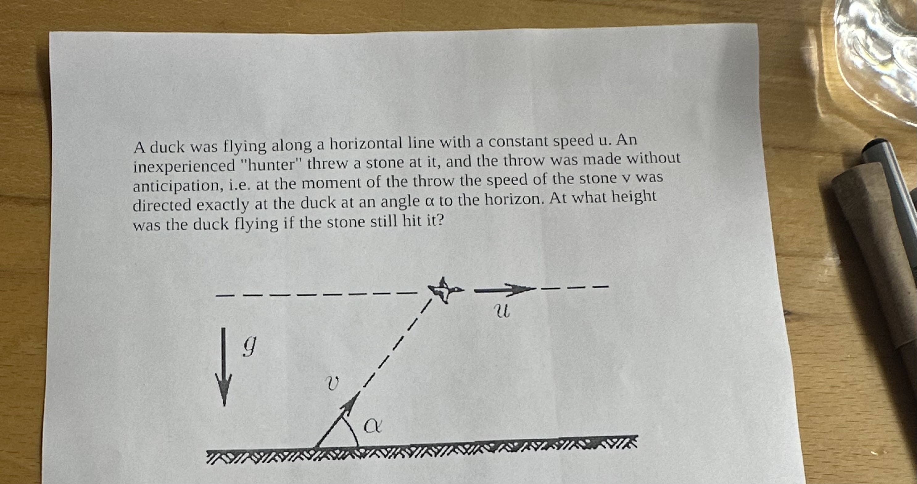A duck was flying along a horizontal line with a