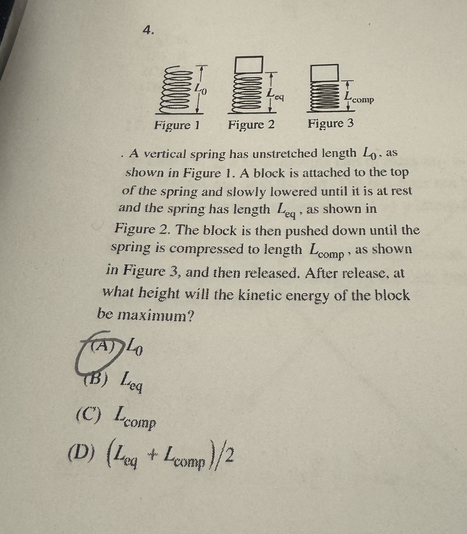 A vertical spring has unstretched length L 0 , as