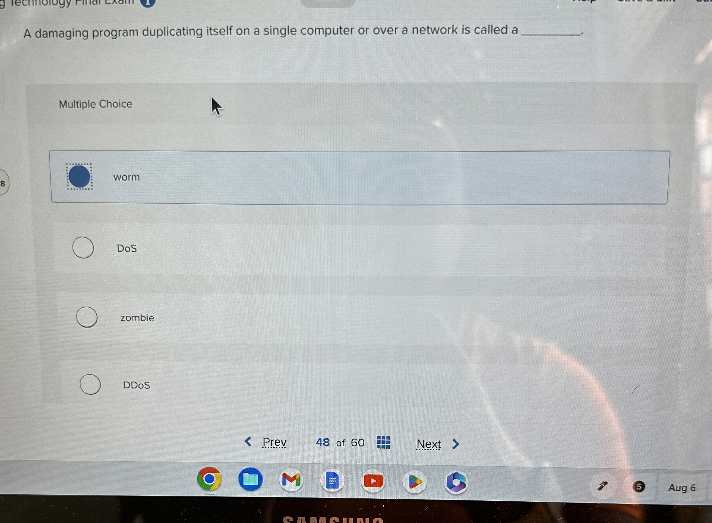 A damaging program duplicating itself on a single