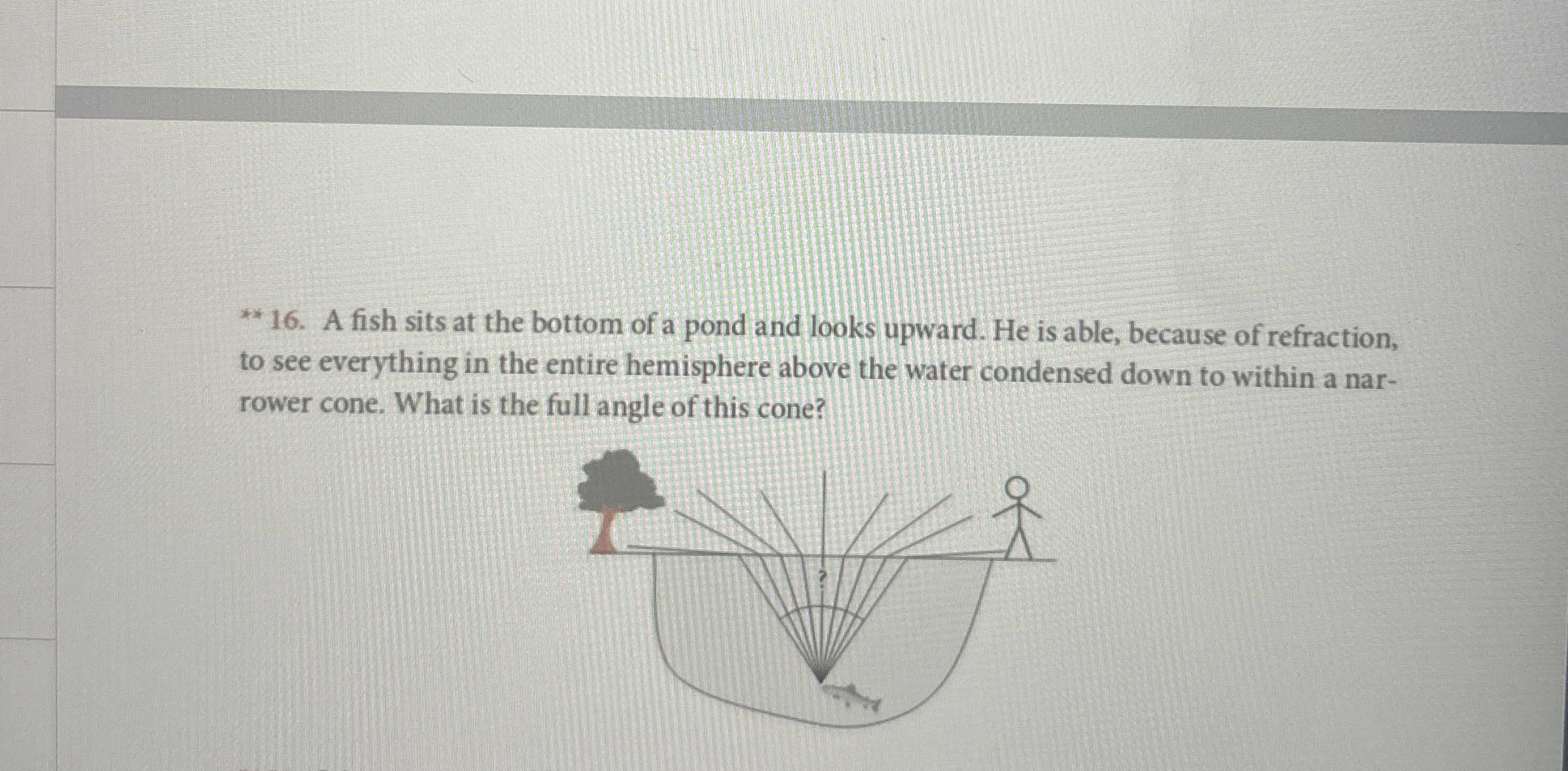 A fish sits at the bottom of a pond and looks