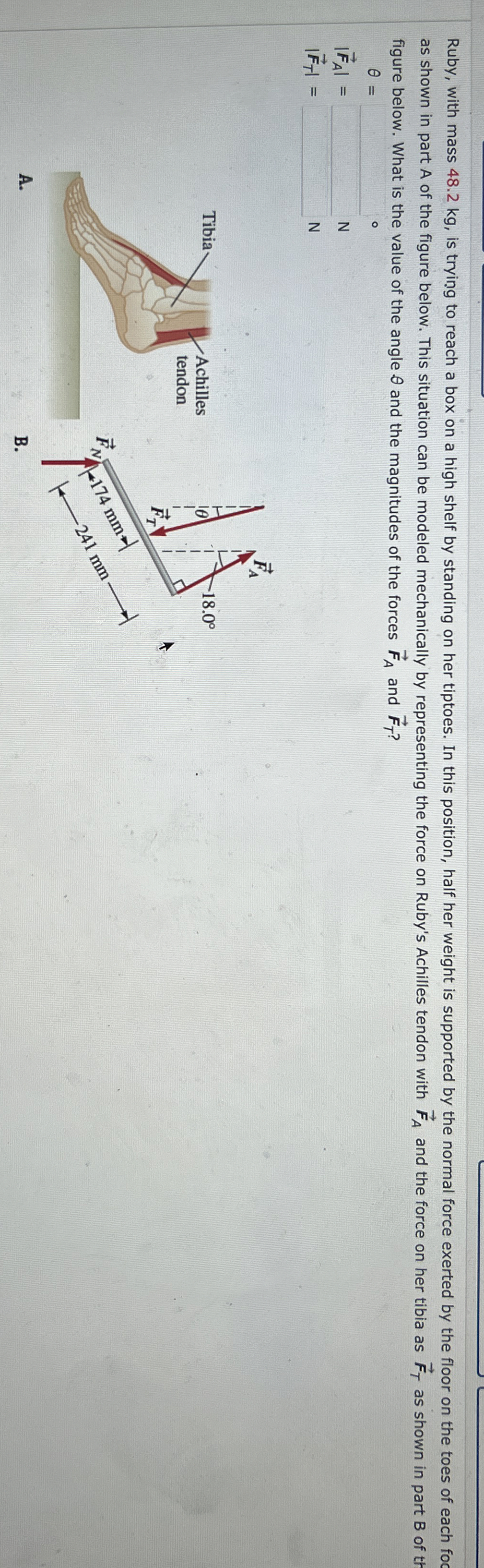 Ruby, with mass 4 8 . 2 kg , is trying to reach a