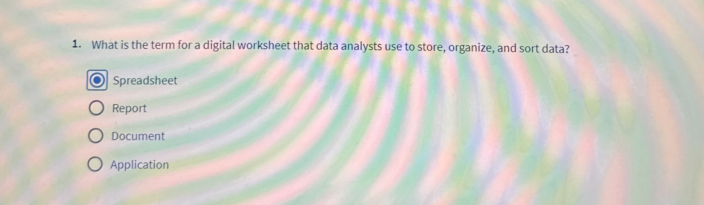 What is the term for a digital worksheet that