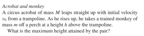 Acrobat and monkey A circus acrobat of mass M