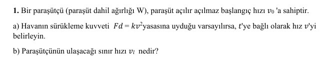 Bir para t ( para t dahil a rl W ) , para t a l r