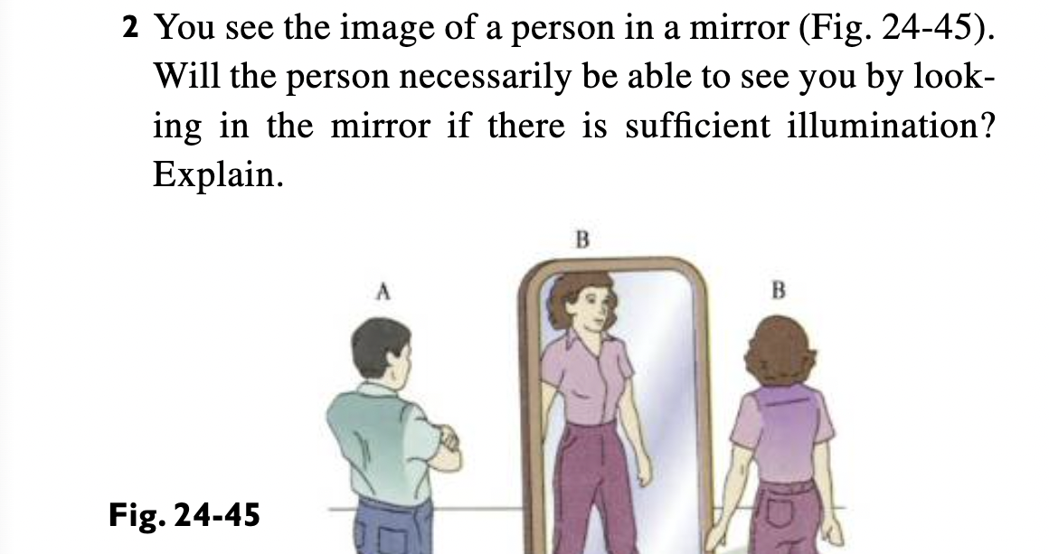 2 You see the image of a person in a mirror ( Fig