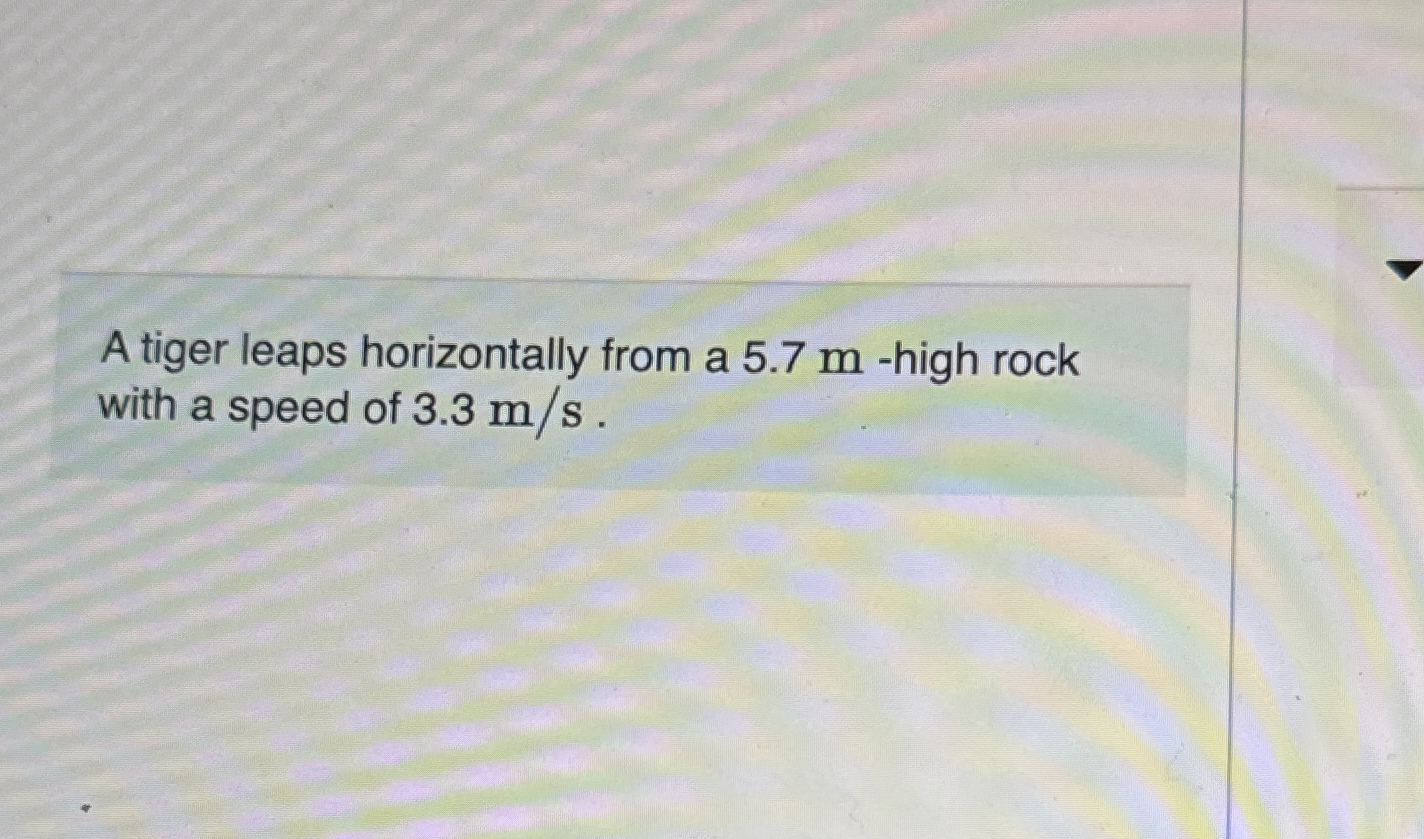 A tiger leaps horizontally from a 5 . 7 m - high