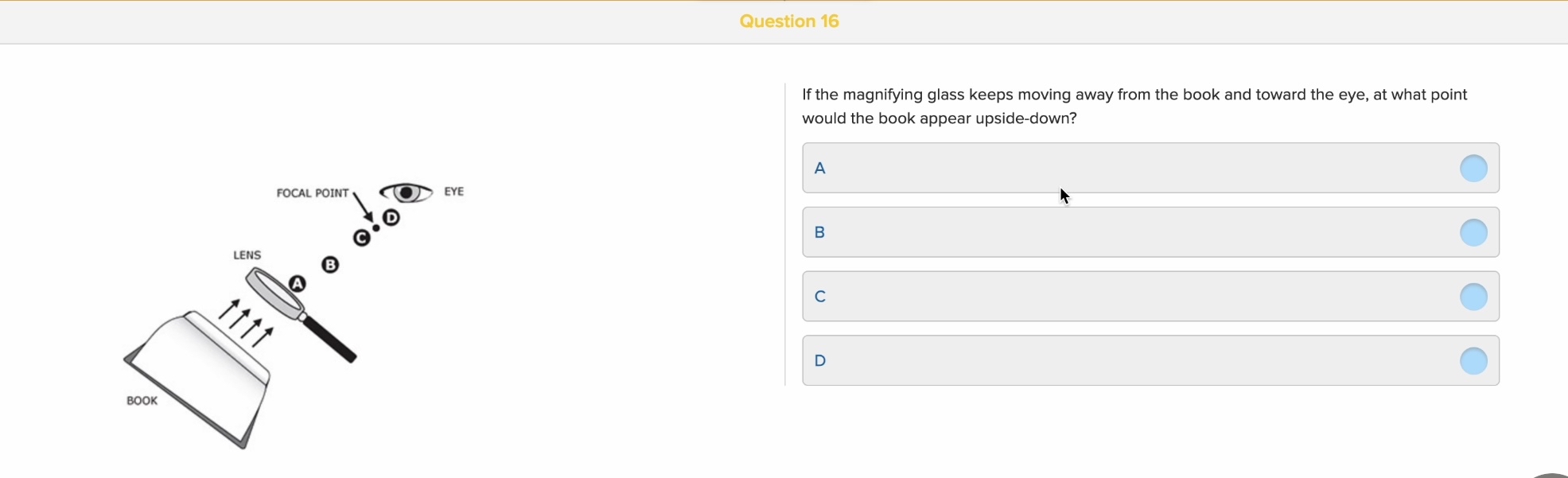 Question 1 6 If the magnifying glass keeps moving