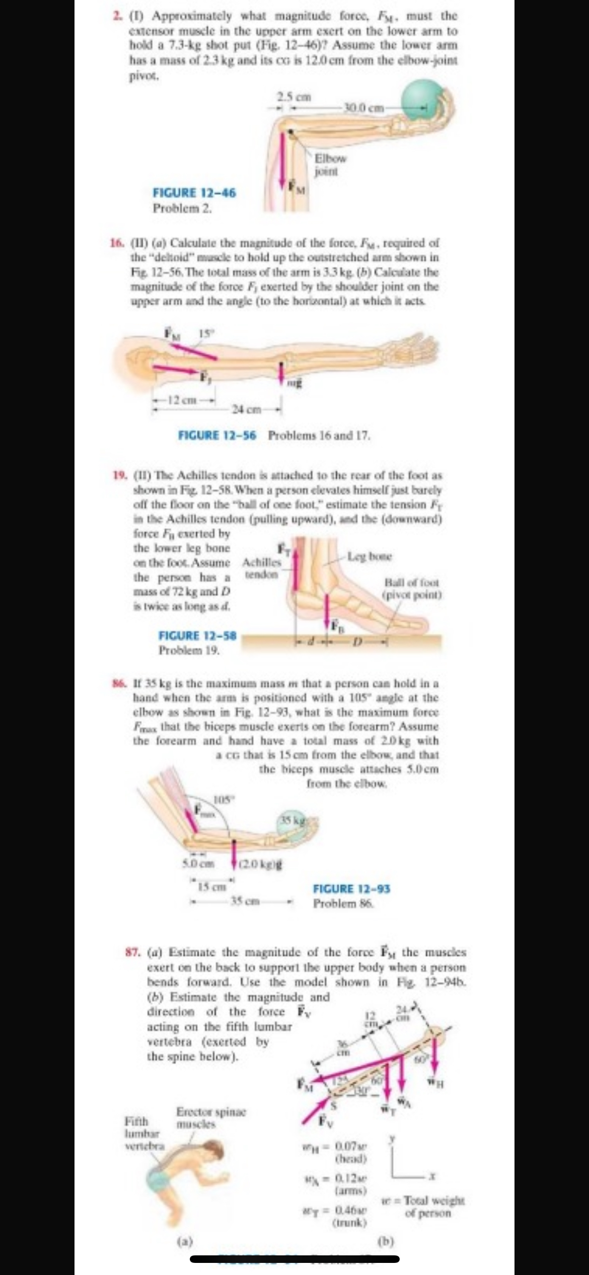 ( I ) Approximately what magnitude forec, F S H ,