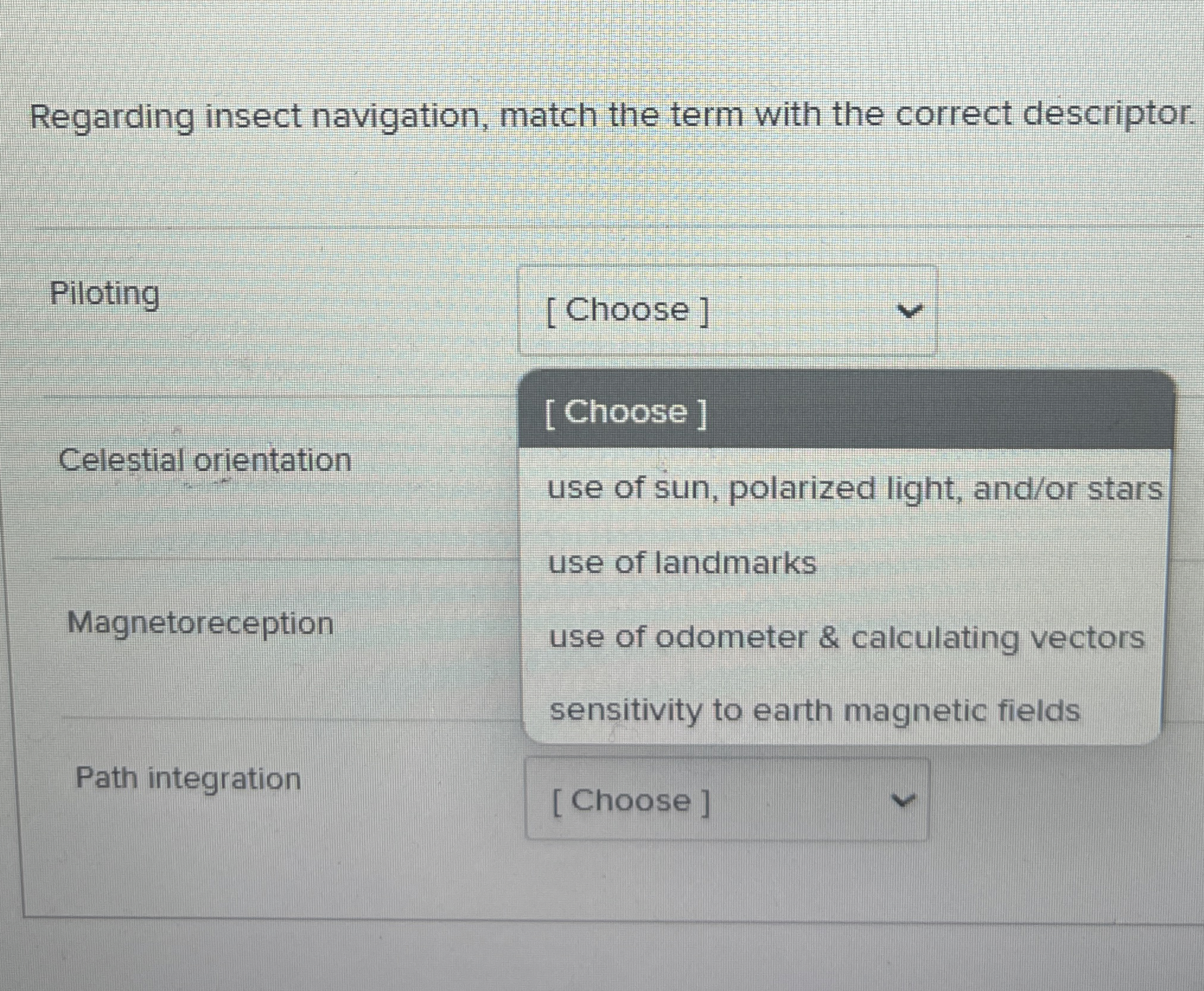 Regarding insect navigation, match the term with