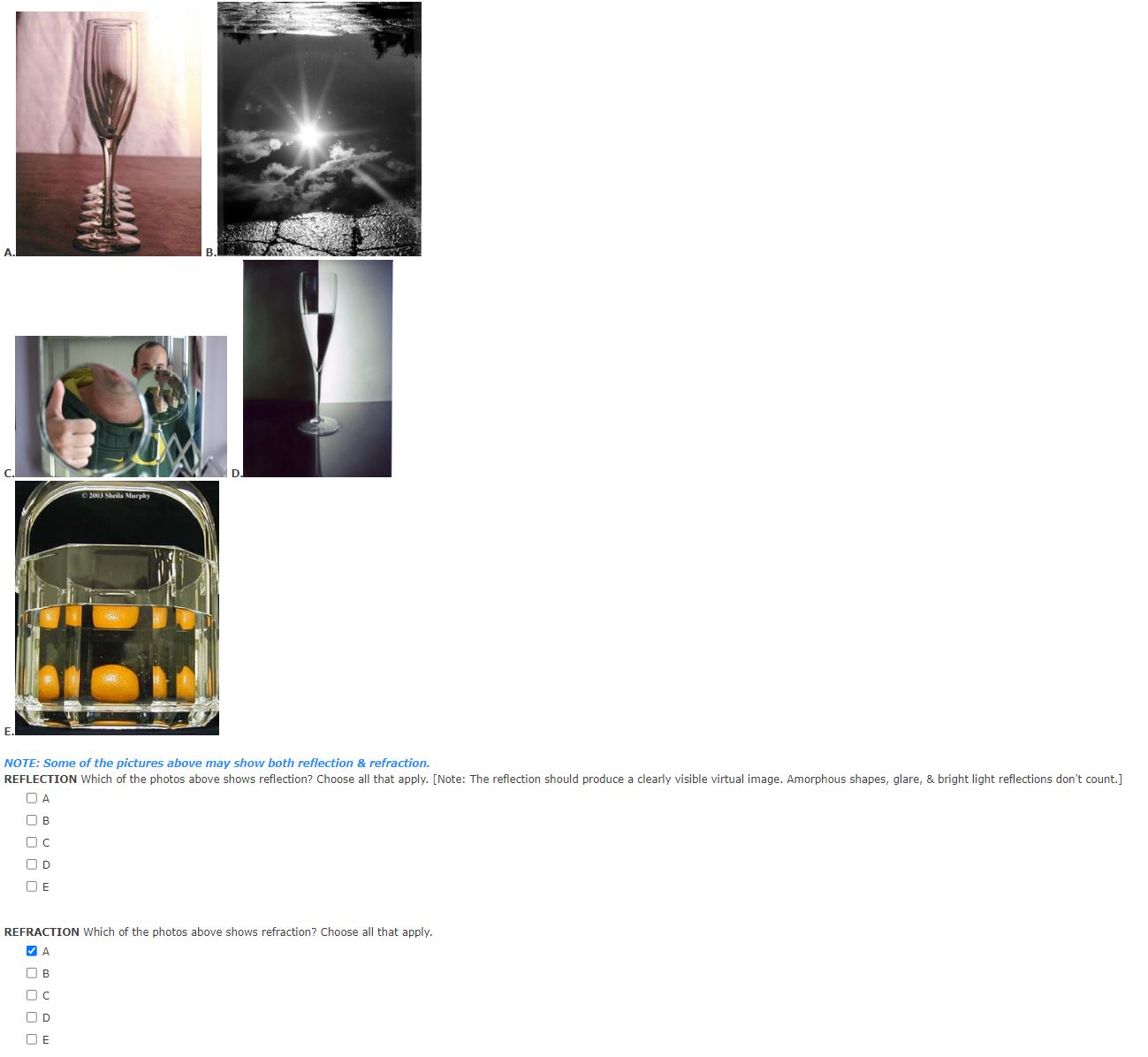 NOTE: Some of the pictures above may show both