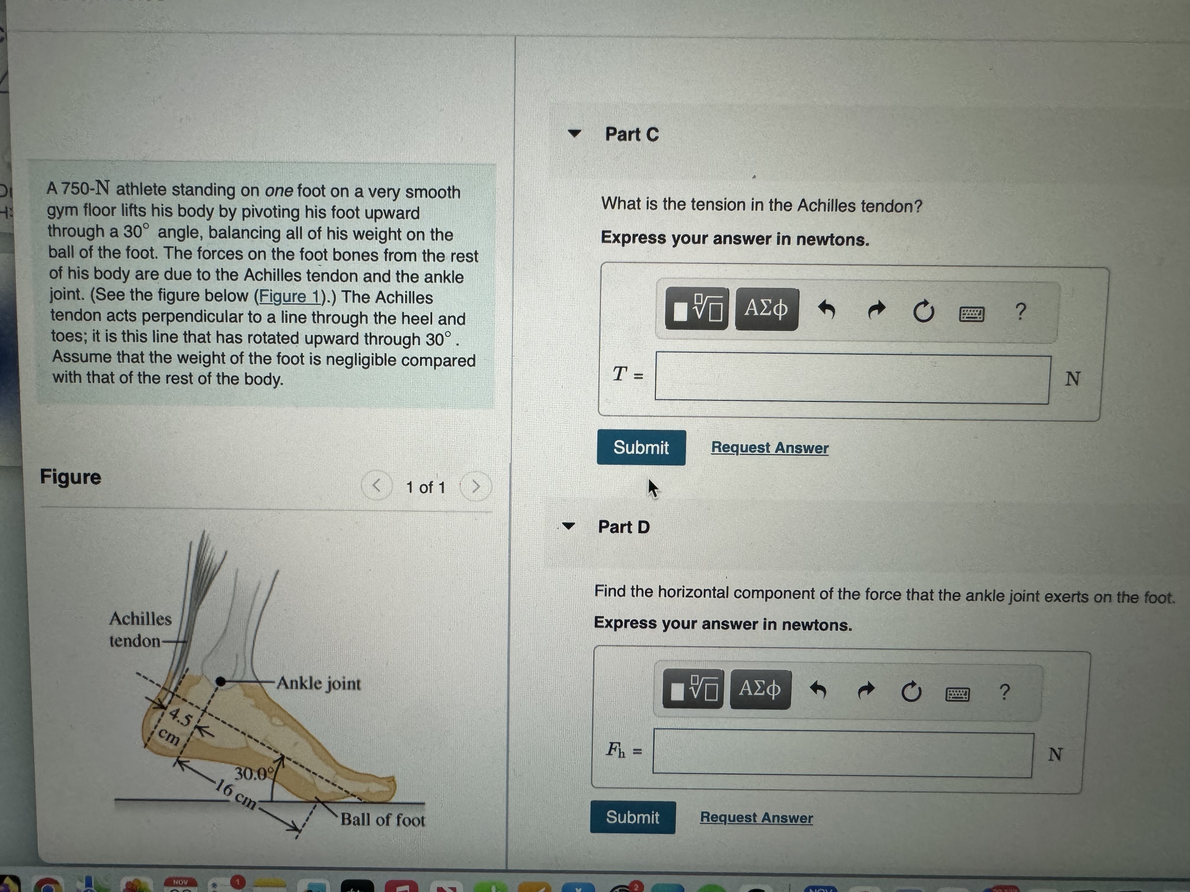 A \ ( 7 5 0 - \ mathrm { N } \ ) athlete standing