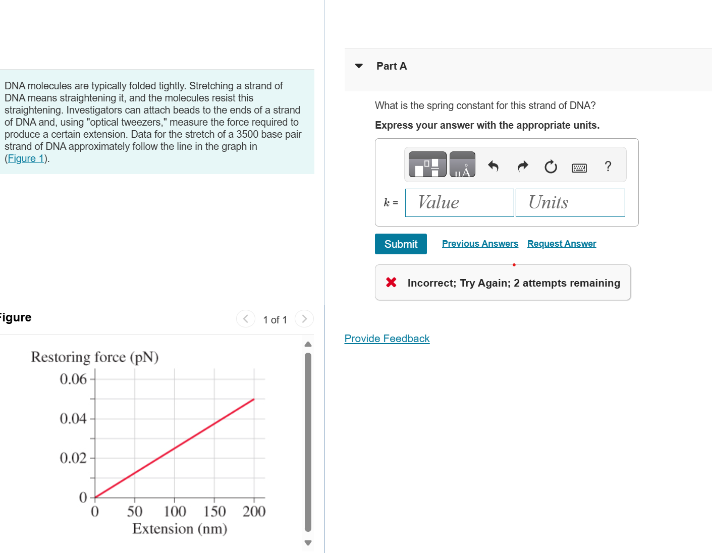 DNA molecules are typically folded tightly.