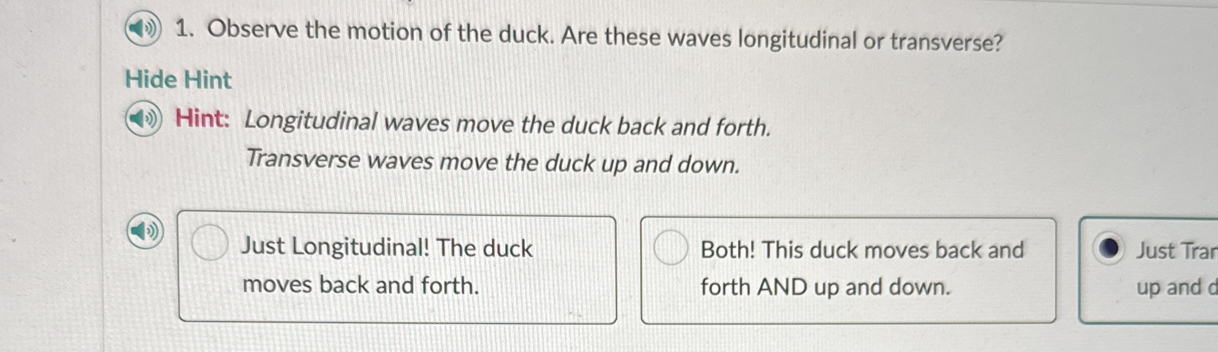 Observe the motion of the duck. Are these waves