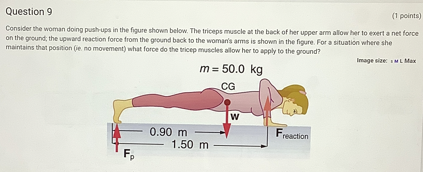 Question 9 ( 1 points ) Consider the woman doing