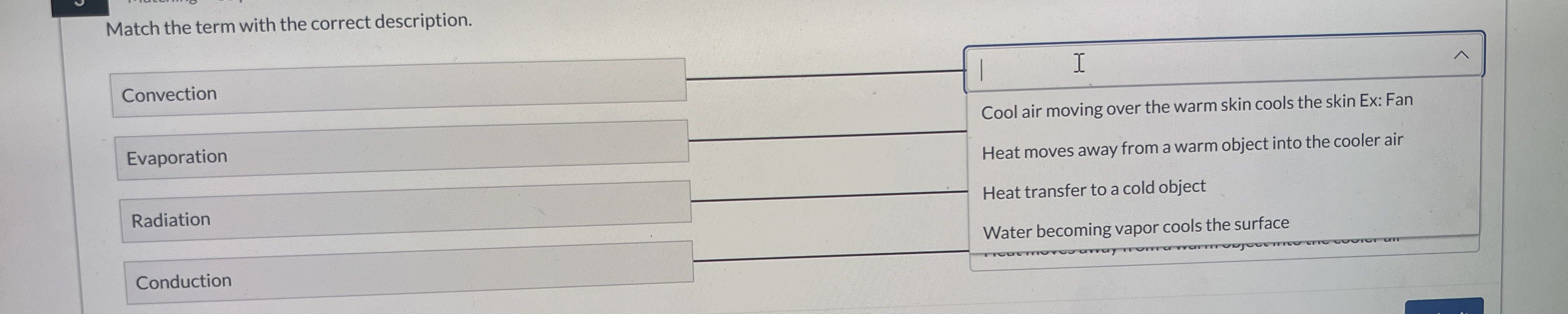 Match the term with the correct description.