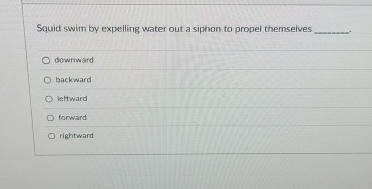 Squid swim by expelling water out a siphon to