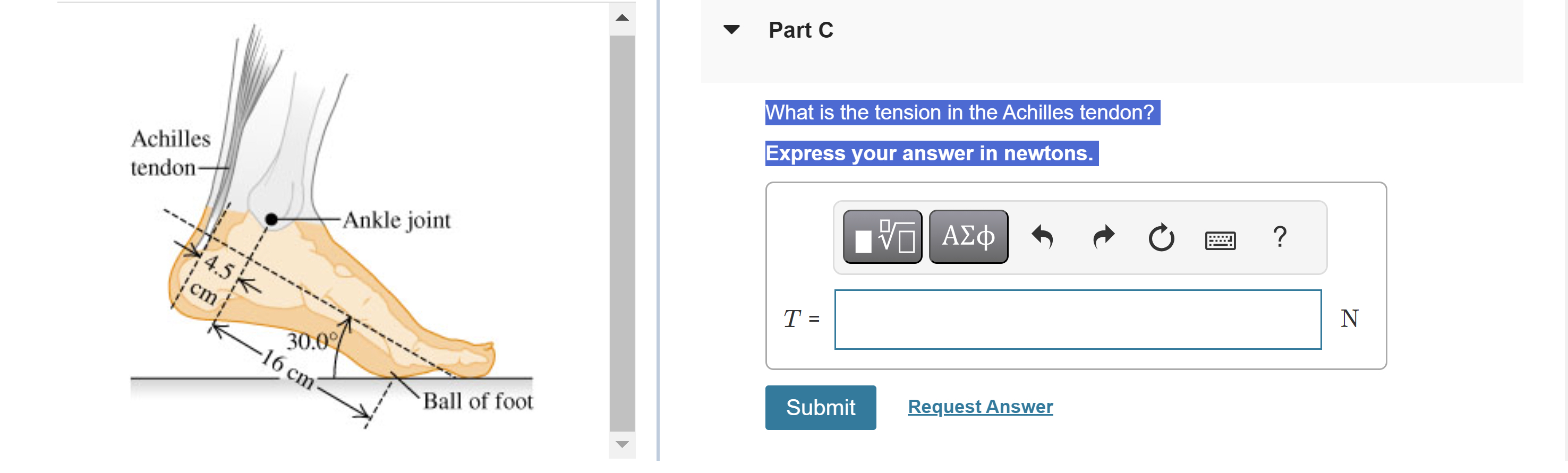 Part C What is the tension in the Achilles