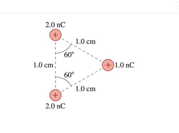 What is the magnitude of the force F F on the 1 .
