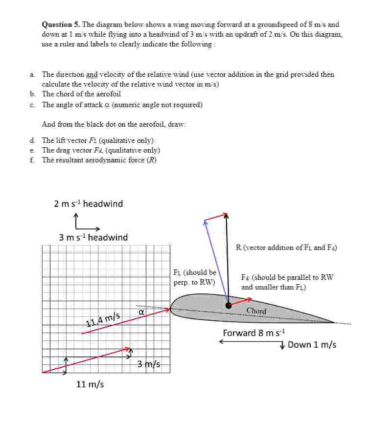Question 5 . The diagram below shows a wing