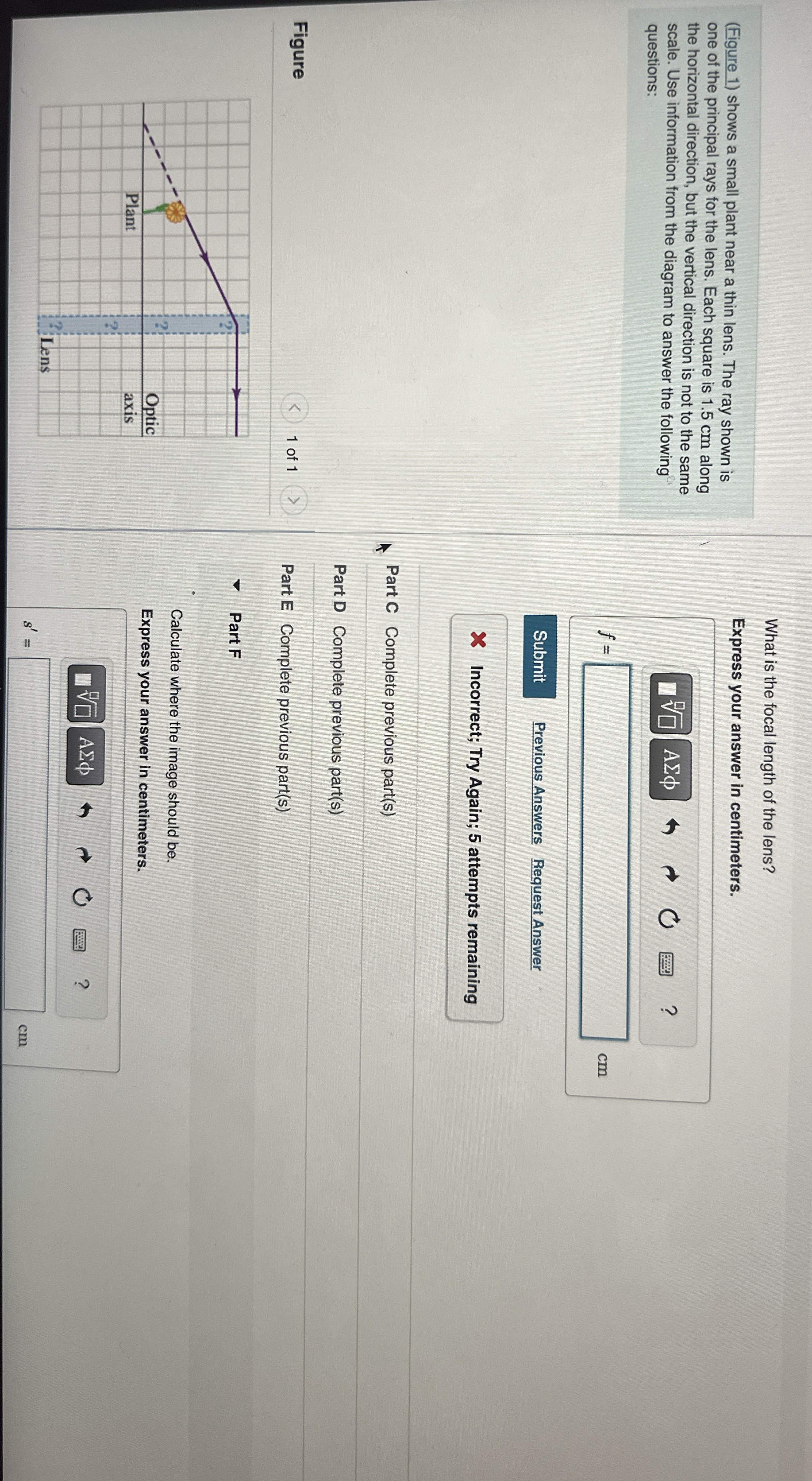 ( Figure 1 ) shows a small plant near a thin