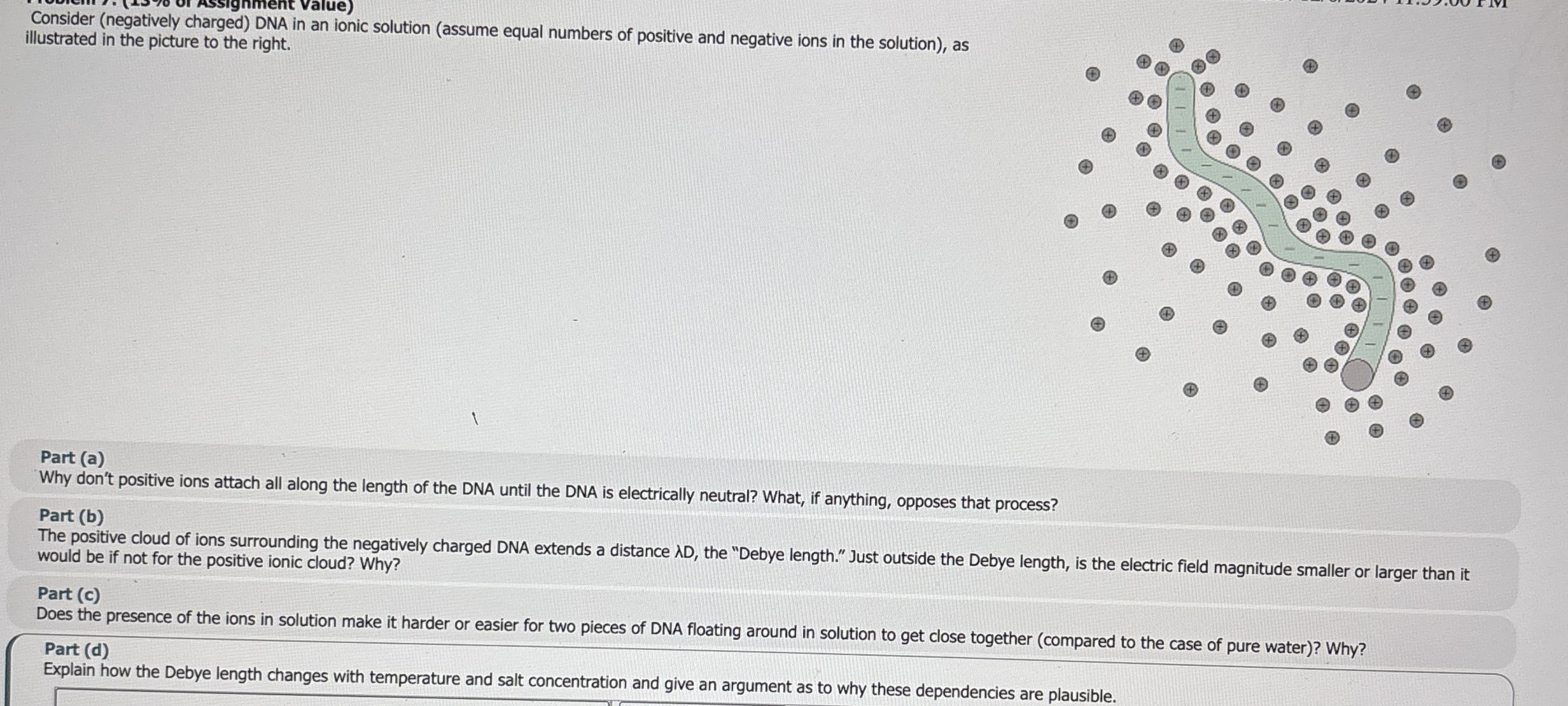 Consider ( negatively charged ) DNA in an ionic