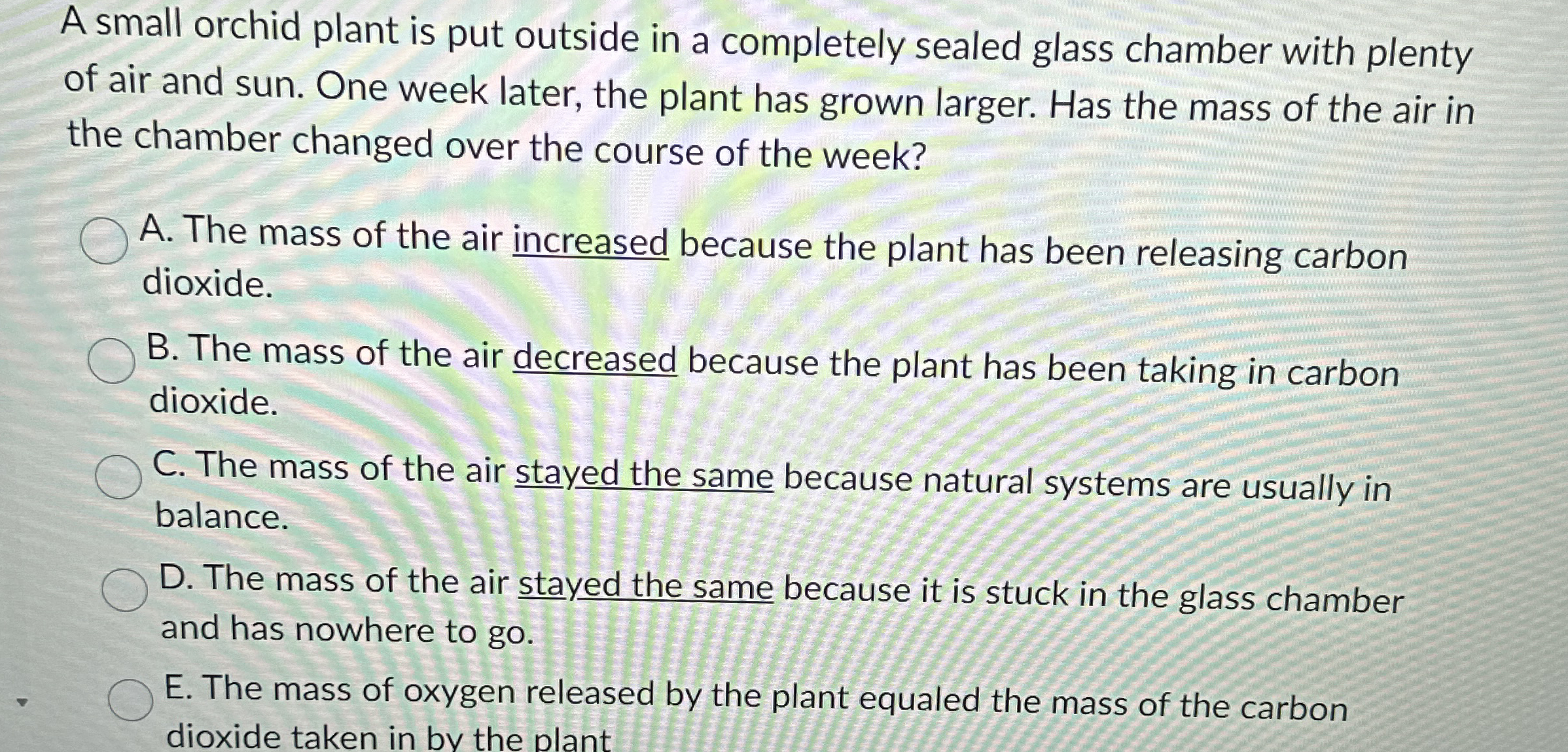 A small orchid plant is put outside in a