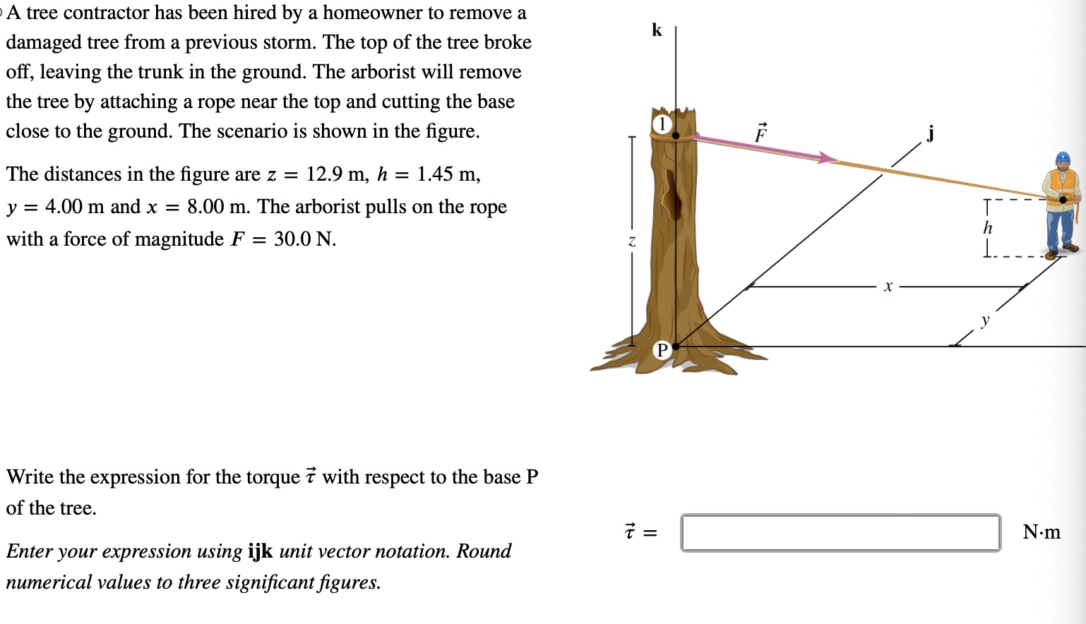 A tree contractor has been hired by a homeowner