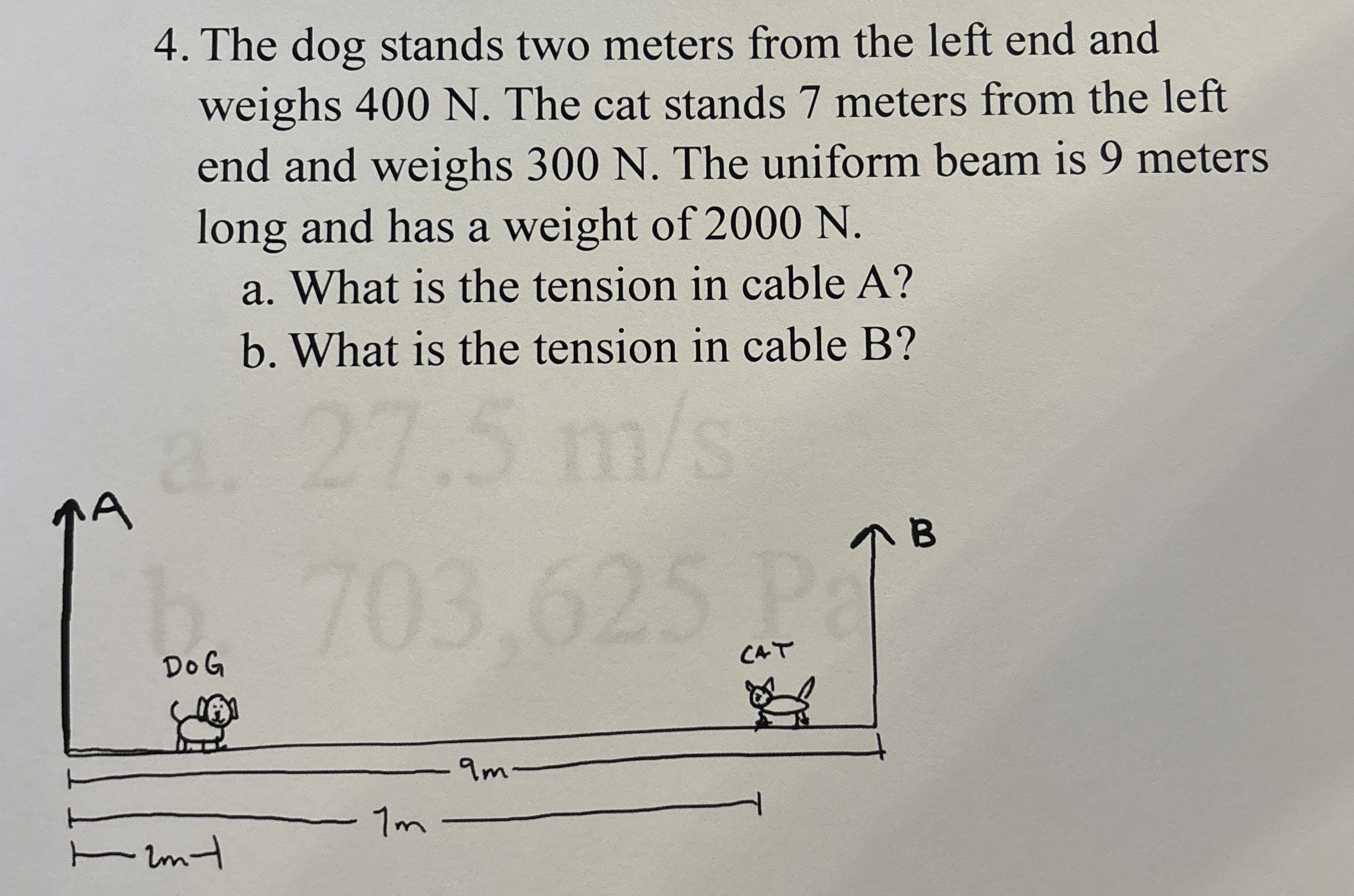 The dog stands two meters from the left end and