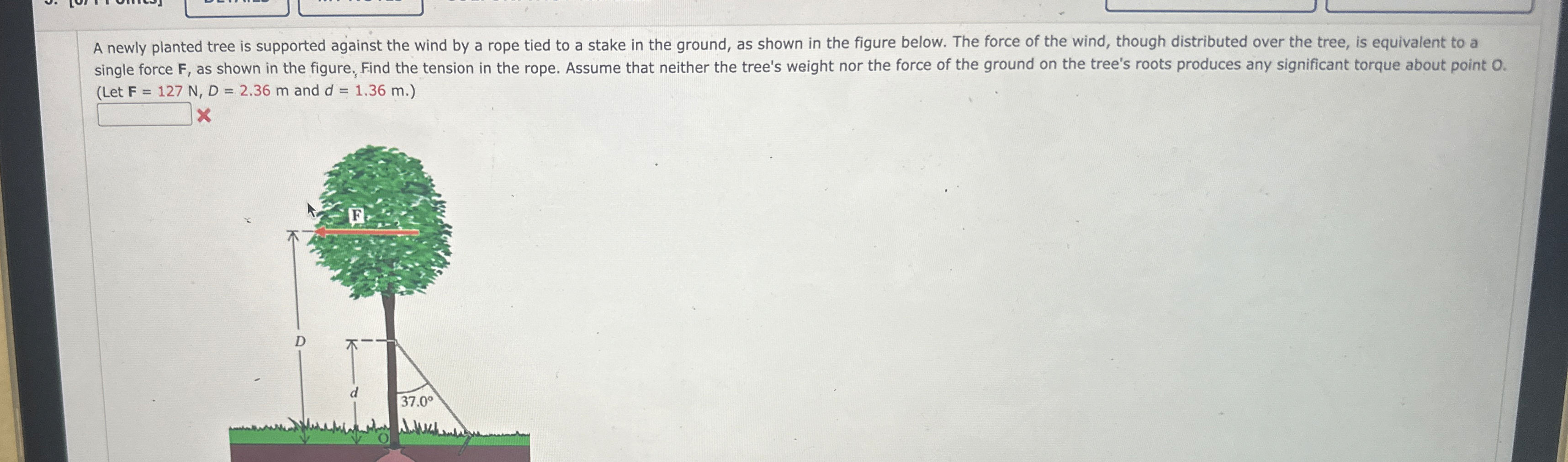 A newly planted tree is supported against the