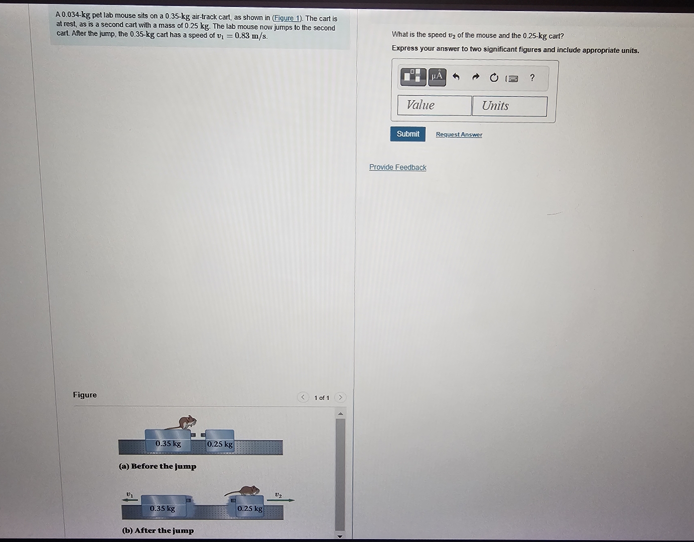 A 0 . 0 3 4 - k g pet lab mouse sits on a 0 . 3 5