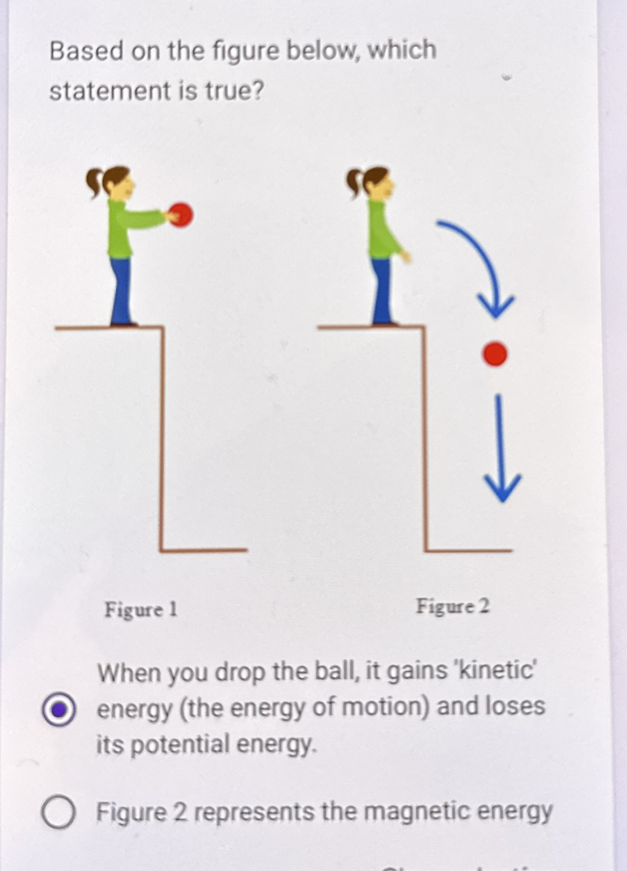 Based on the figure below, which statement is