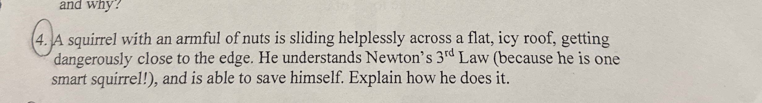 A squirrel with an armful of nuts is sliding