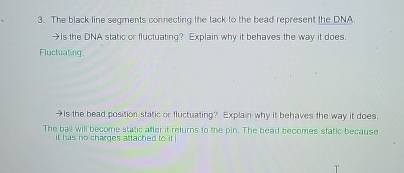 The black line segments connecting the lack to