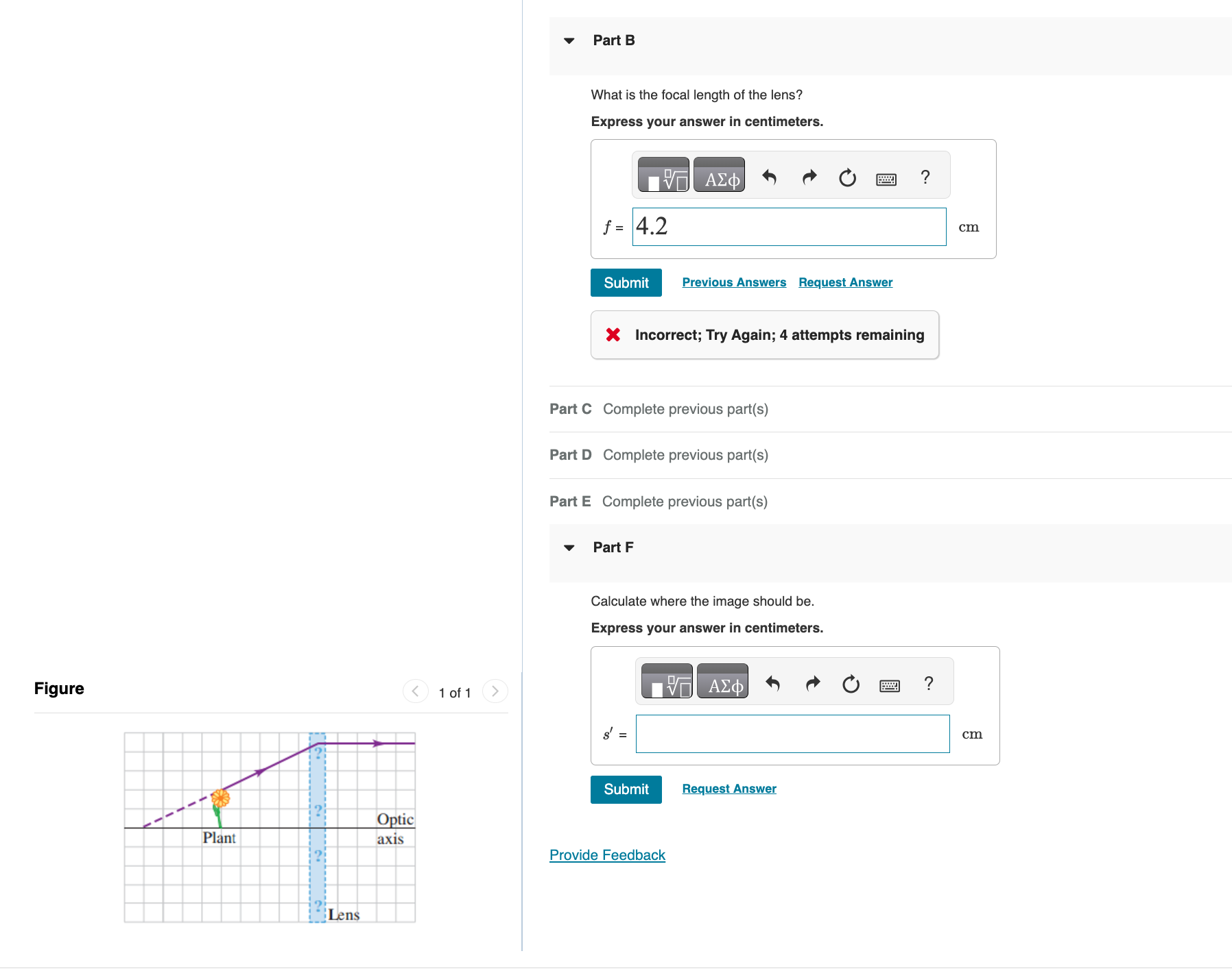 ( Figure 1 ) shows a small plant near a thin