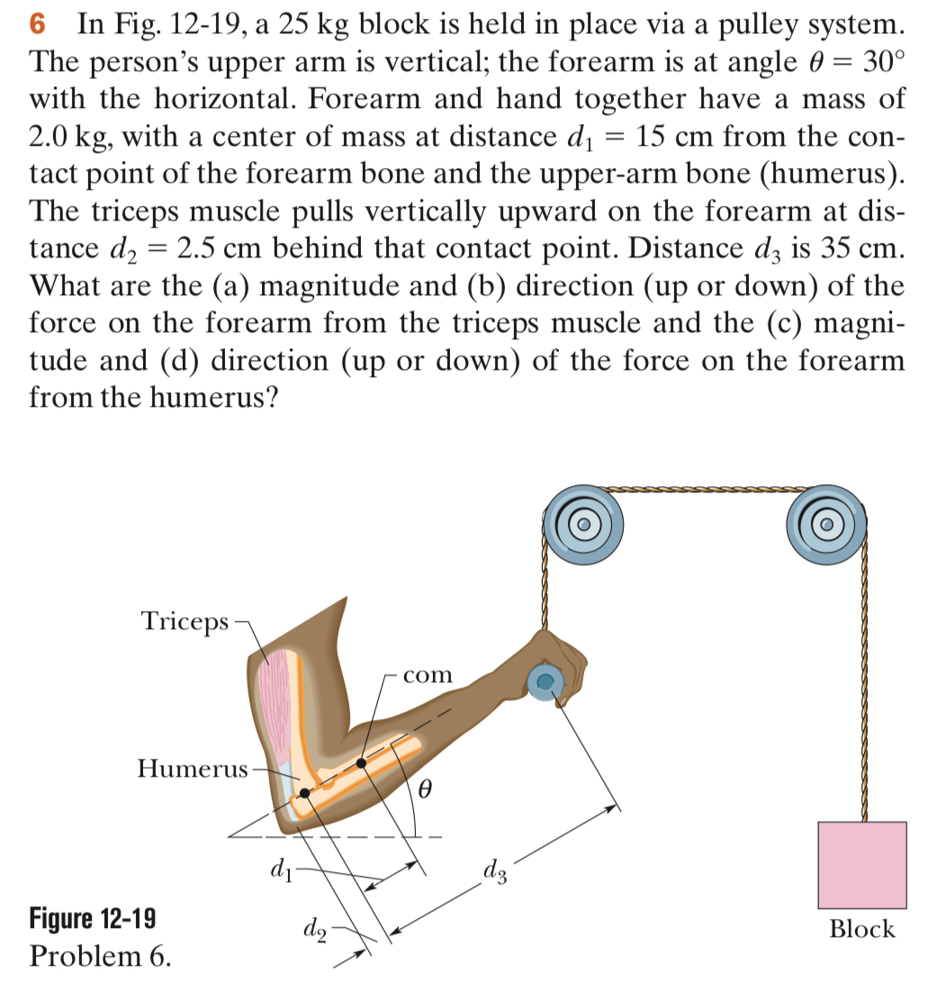 6 In Fig. 1 2 - 1 9 , a 2 5 kg block is held in