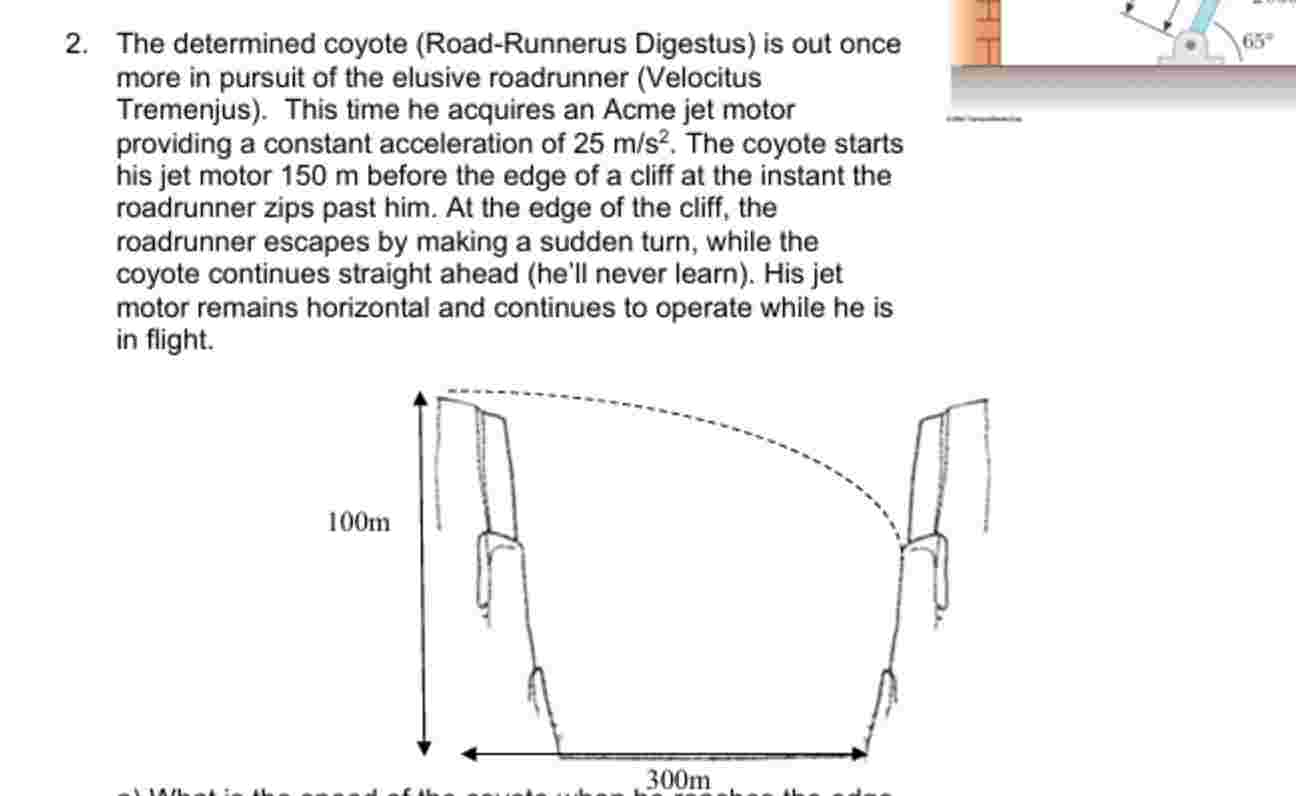 2 . The determined coyote ( Road - Runnerus