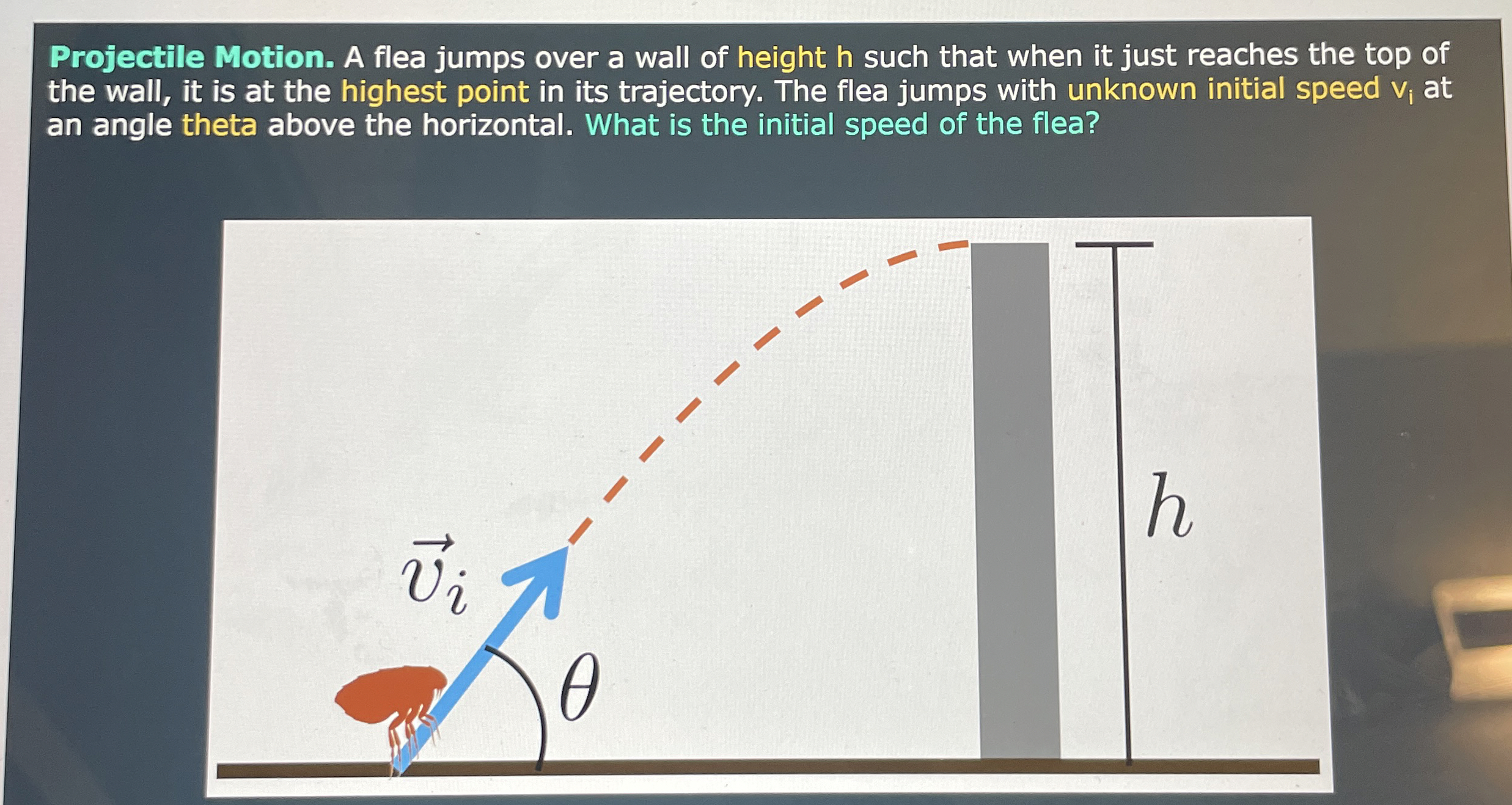 Projectile Motion. A fiea jumps over a wall of