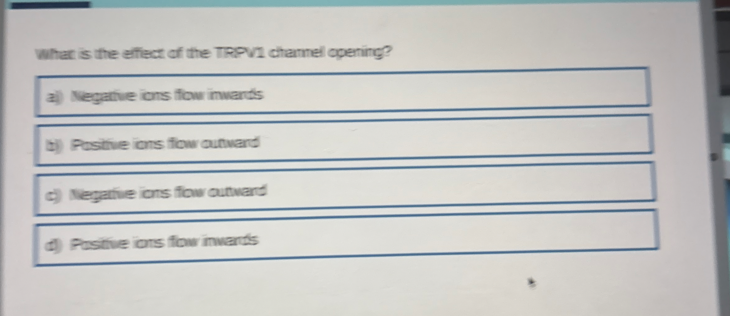 What is the eftect of the TRPVI chamel opening?