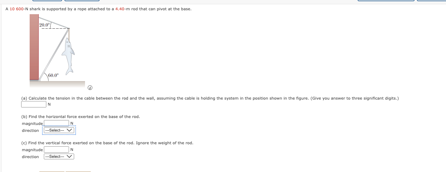 A \ ( 1 0 6 0 0 - \ mathrm { N } \ ) shark is