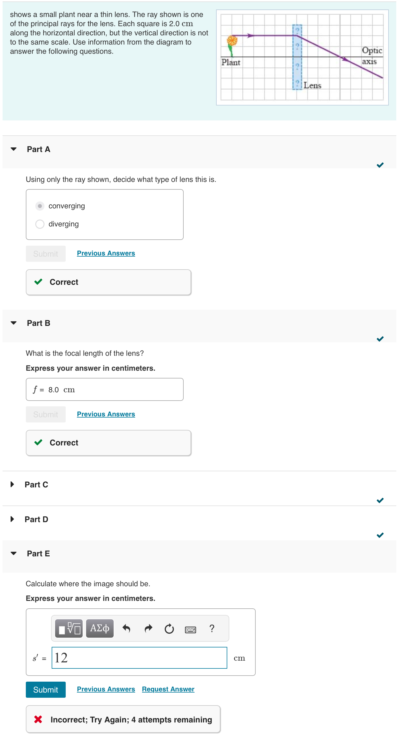 shows a small plant near a thin lens. The ray