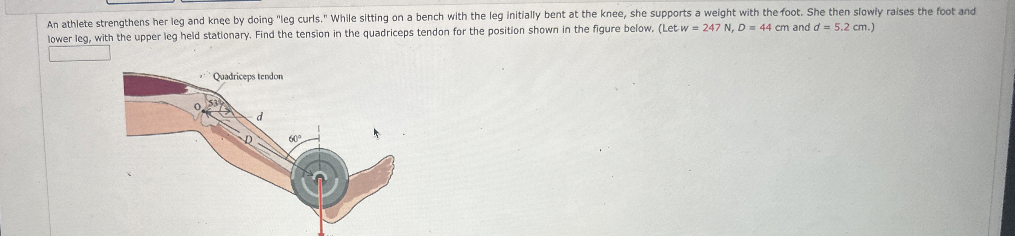 An athlete strengthens her leg and knee by doing