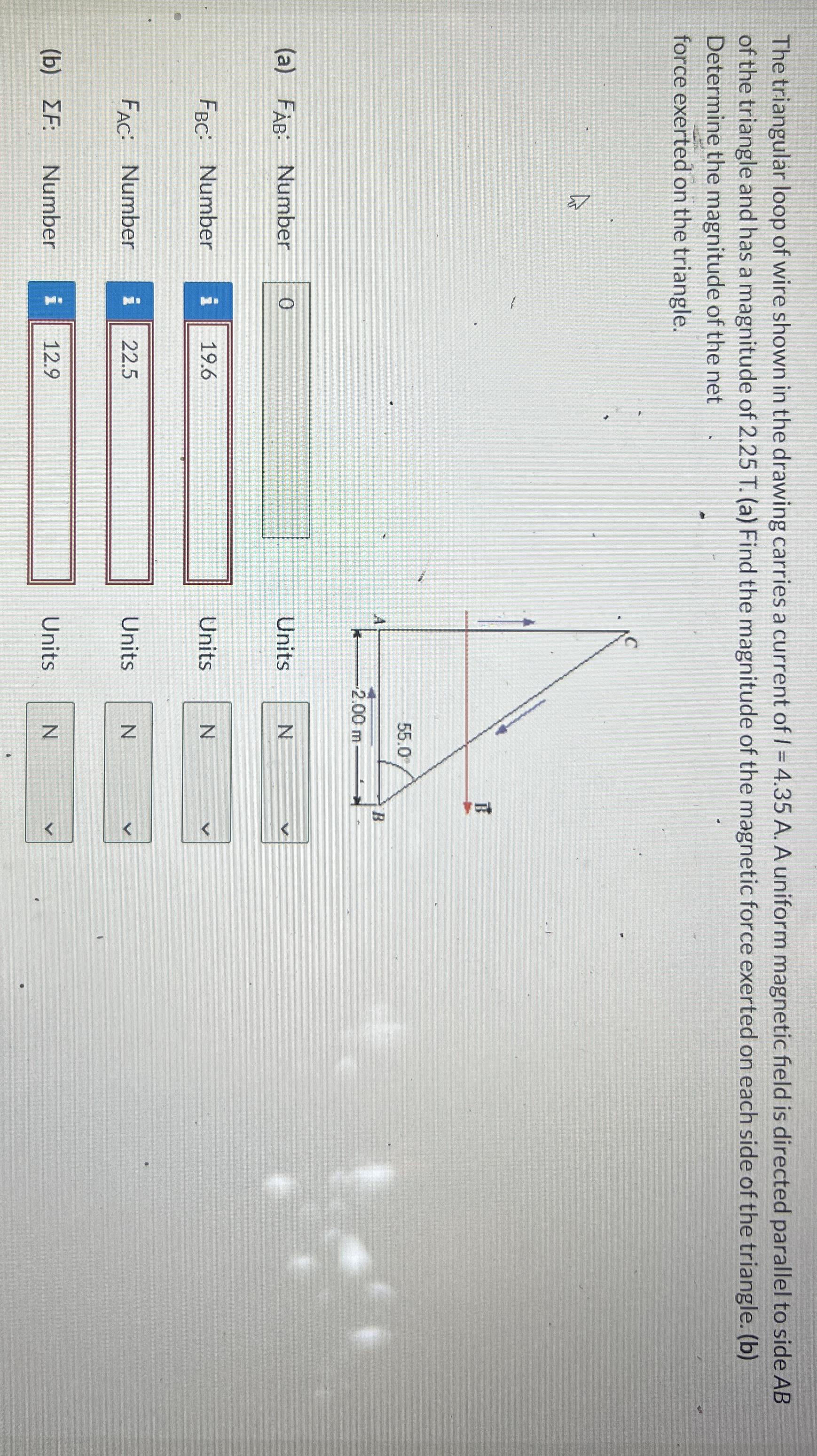 The triangular loop of wire shown in the drawing