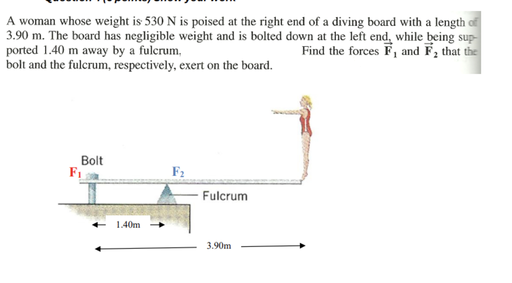 A woman whose weight is 5 3 0 N is poised at the