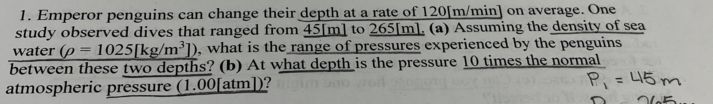Emperor penguins can change their depth at a rate