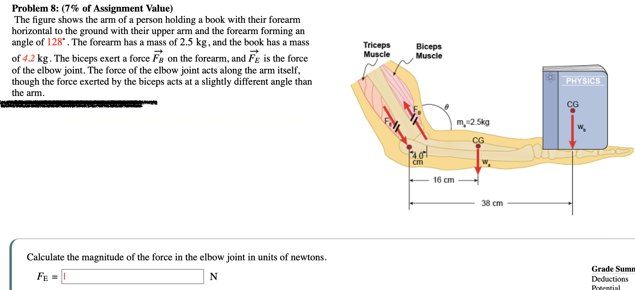 Calculate the magnitude of the force in the elbow