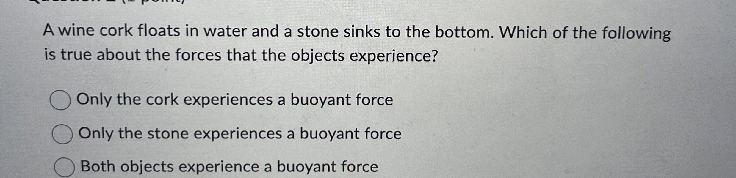 A wine cork floats in water and a stone sinks to