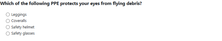 Which of the following PPE protects your eyes