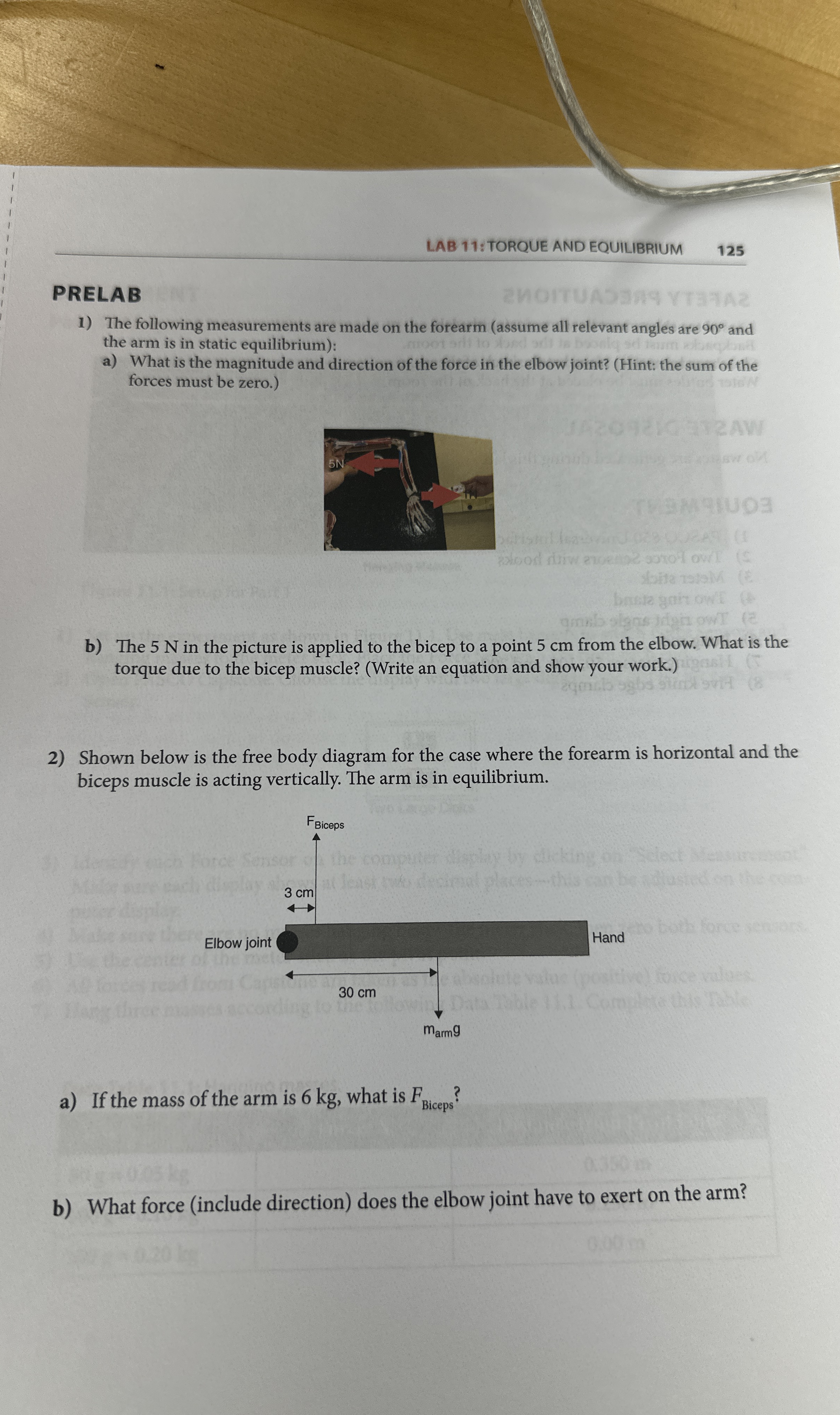 LAB 1 1 :TORQUE AND EQUILIBRIUM 1 2 5 PRELAB The