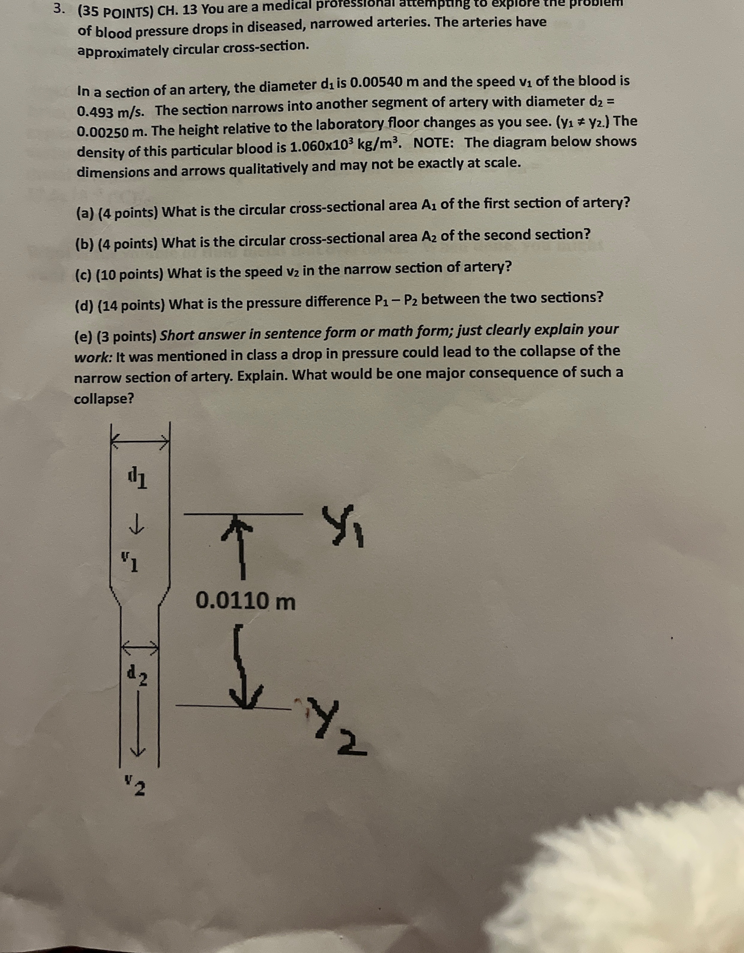 ( 3 5 POINTS ) CH . 1 3 You are a medical