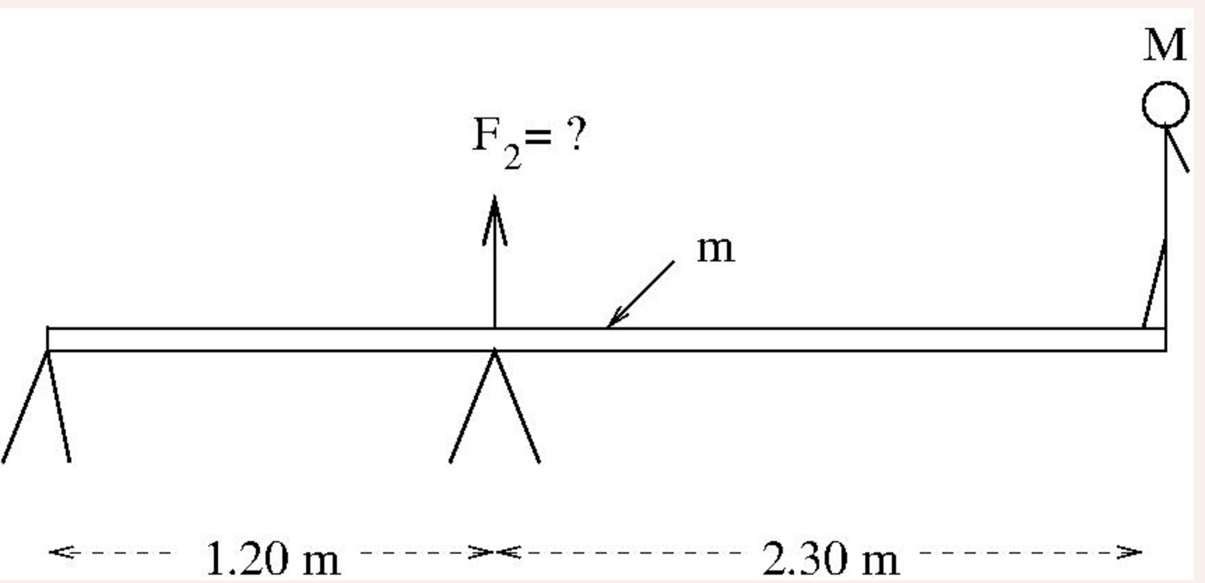 A diver with a mass M = 5 6 . 3 kg stands at one